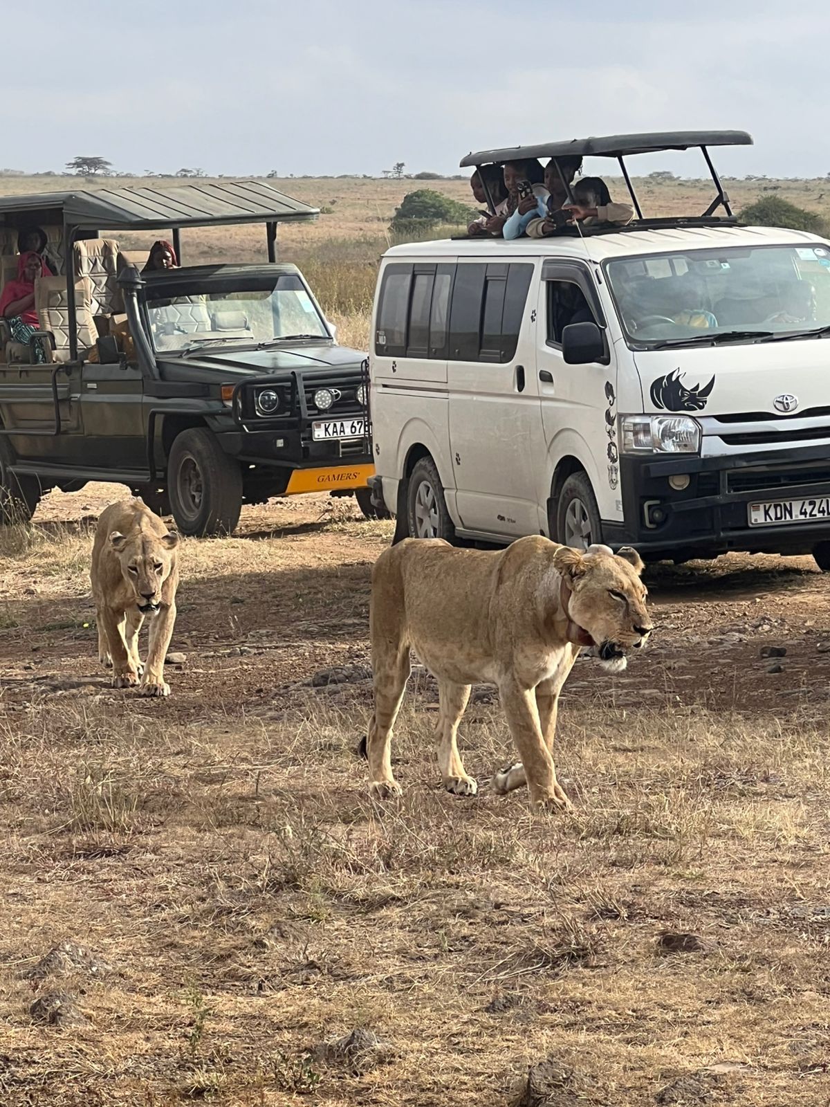 Nairobi National Park