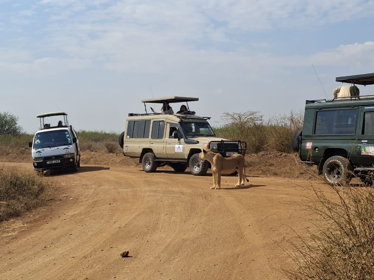 Nairobi National Park