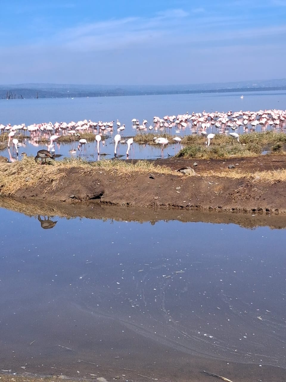 Nairobi National Park