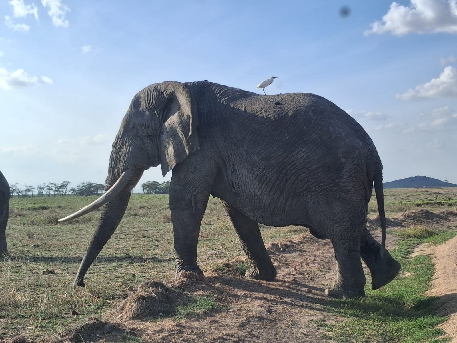 Nairobi National Park